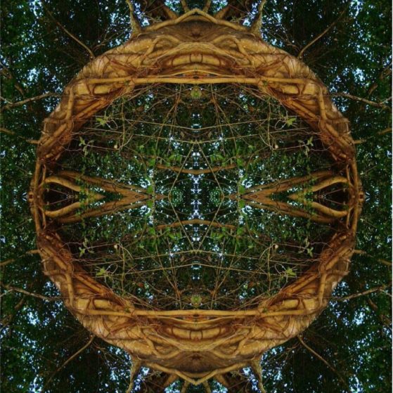 album-art